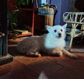 Rudy